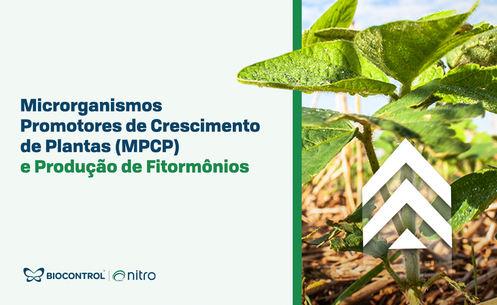 Microrganismos Promotores de Crescimento de Plantas (MPCP)  e Produção de Fitormônios