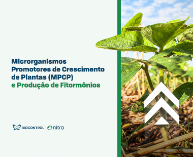 Microrganismos Promotores de Crescimento de Plantas (MPCP)  e Produção de Fitormônios